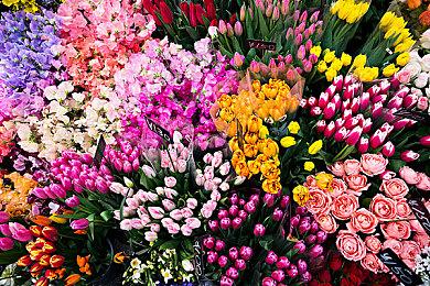 《仙剑奇侠传7》预下载重要提示：预留120G硬盘空间