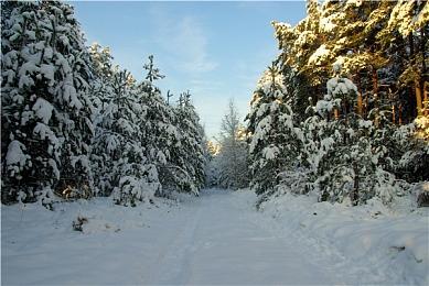 《豪麻—黑色推理》登陆steam 手绘动漫风推理视觉新游